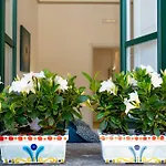 Guest house Guest Rose 3*